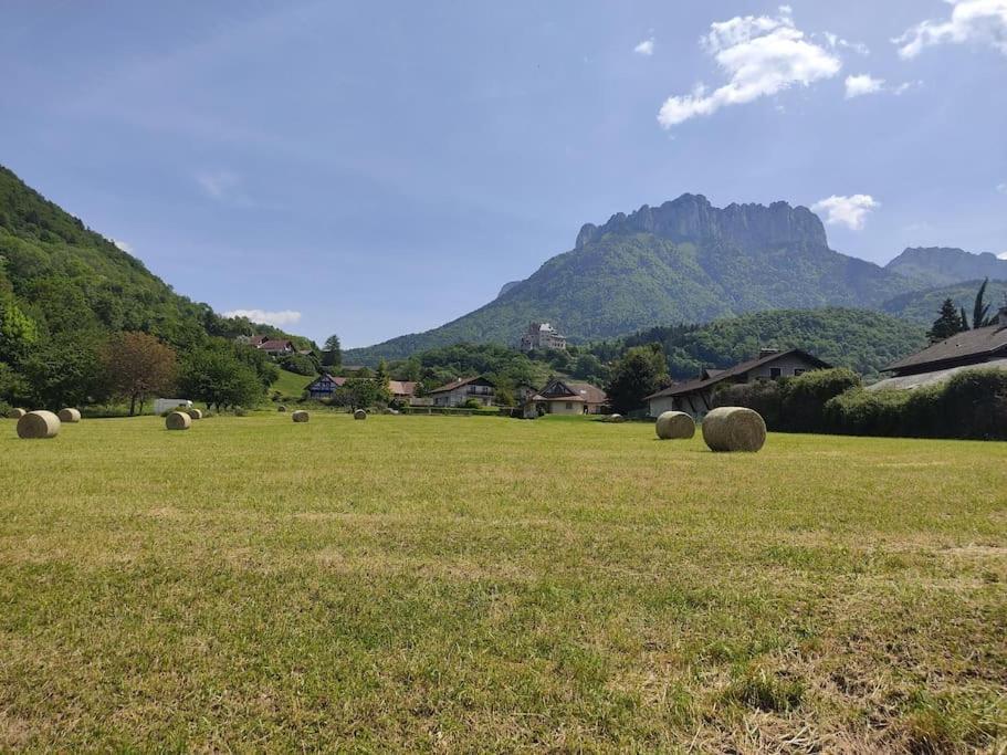 Bel Appartement Au Calme A 5 Minutes Du Village Menthon-Saint-Bernard Exteriör bild